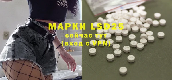 индика Новокубанск