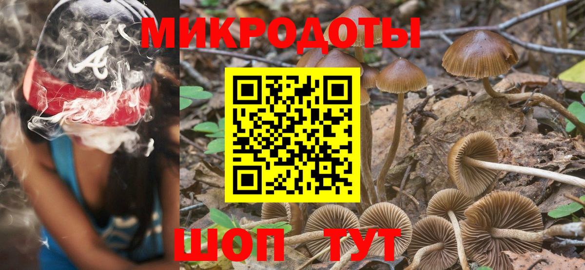 Псилоцибиновые грибы GOLDEN TEACHER  Вход с VPN  Тверь 
